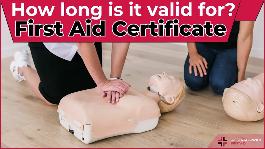 Certificate last article header